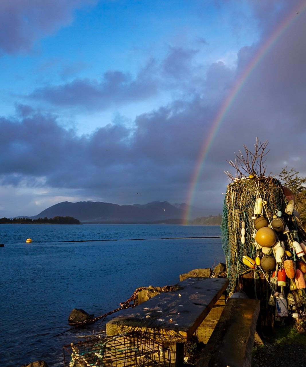 Jetty Fishery Marina & RV Park