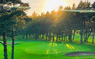 Oregon Coast Manzanita Links